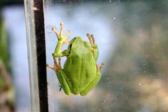 Killikus&reg; Fotographie